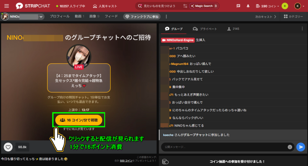 Stripchat グループチャット画面
