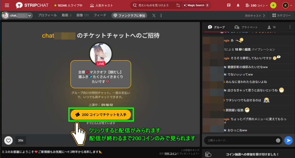 Stripchat チケットチャット画面
