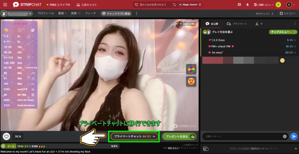 Stripchat プライベートチャット