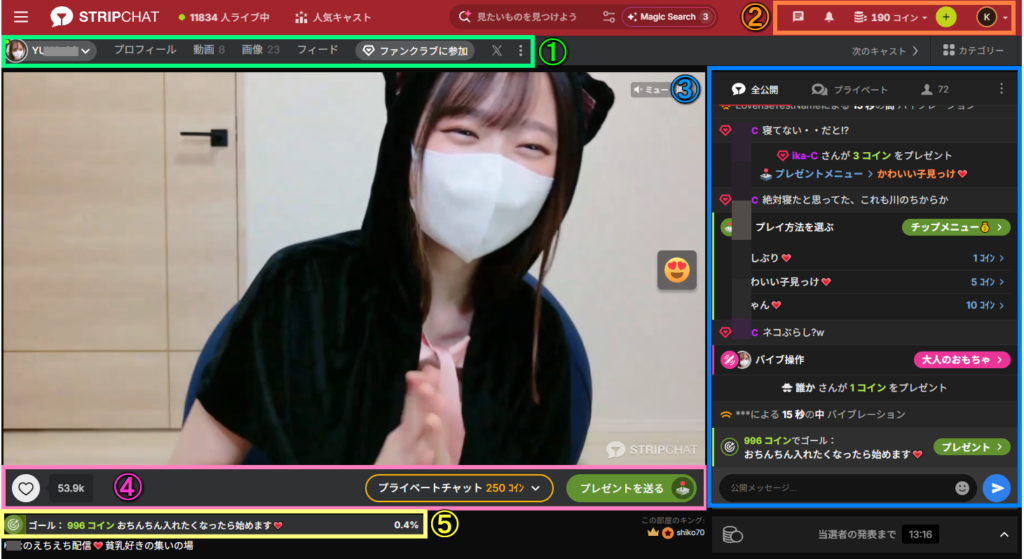 Stripchat 公開チャット画面